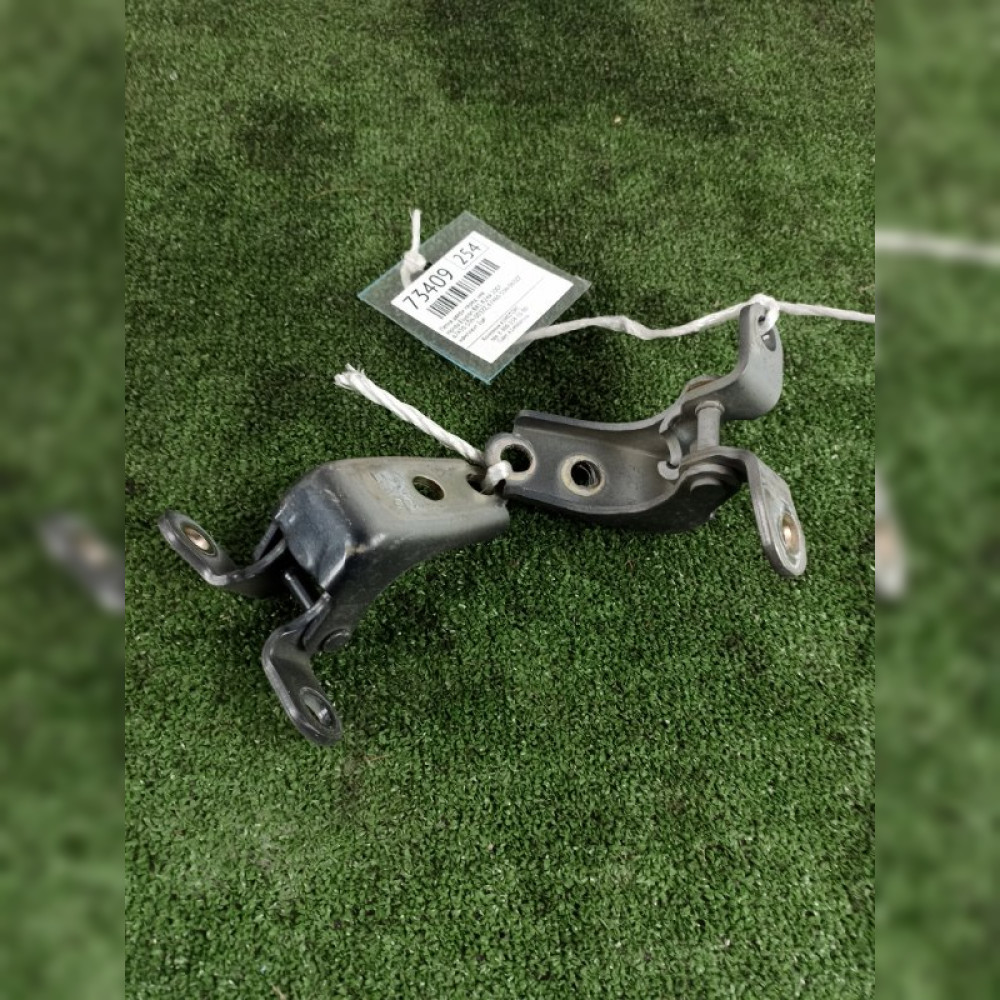 петля двери на Honda Elysion RR1 K24A, арт. 73409
