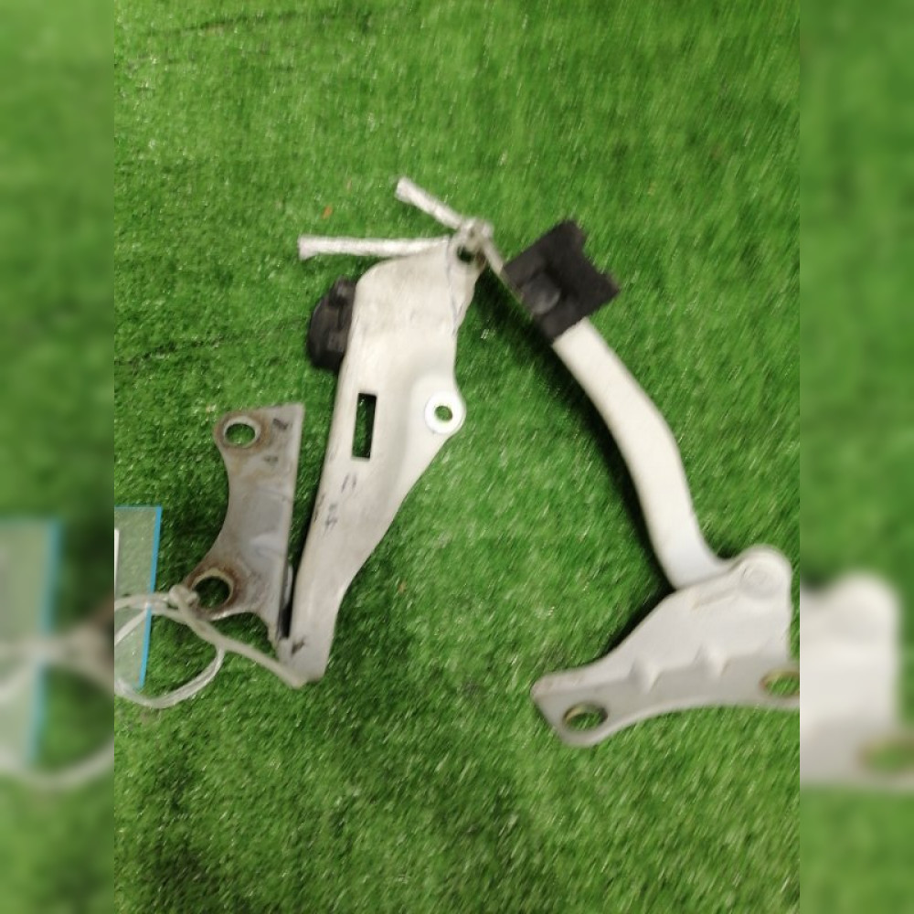 петля капота на Nissan Serena TC24 QR20DE, арт. 104219